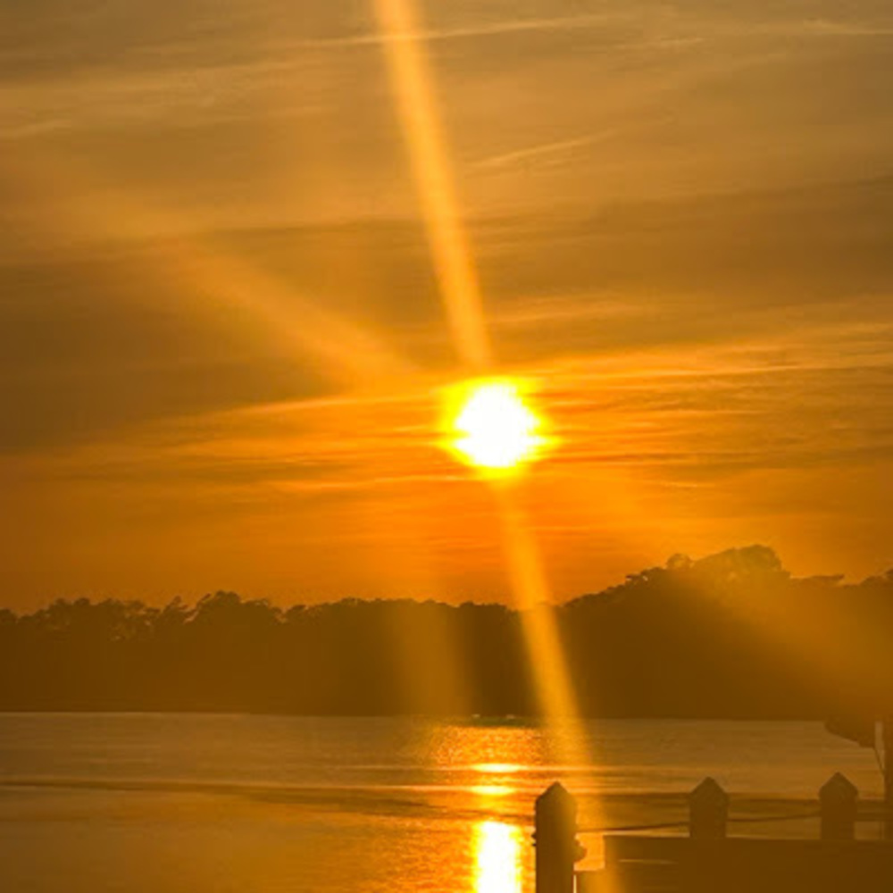 Meet your Posher, Barest